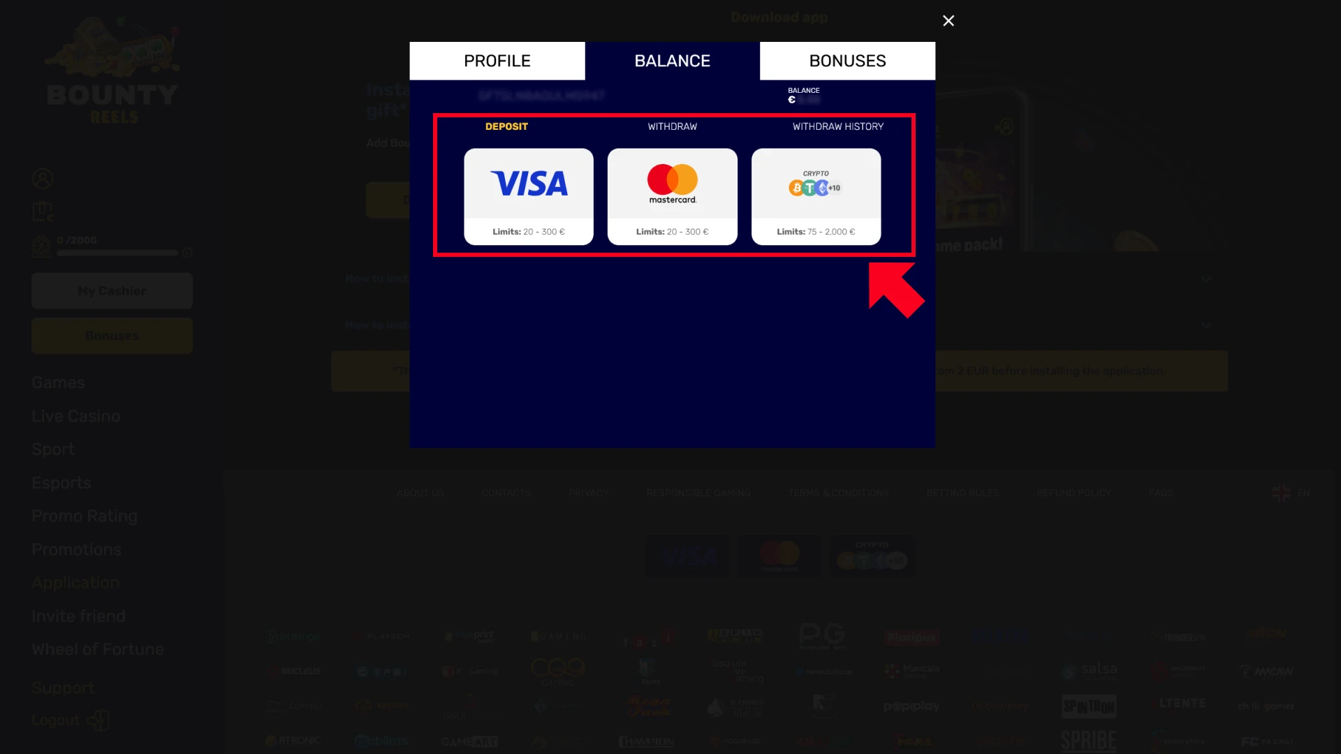 Confirm payment ownership to secure your Bounty Reels profile.