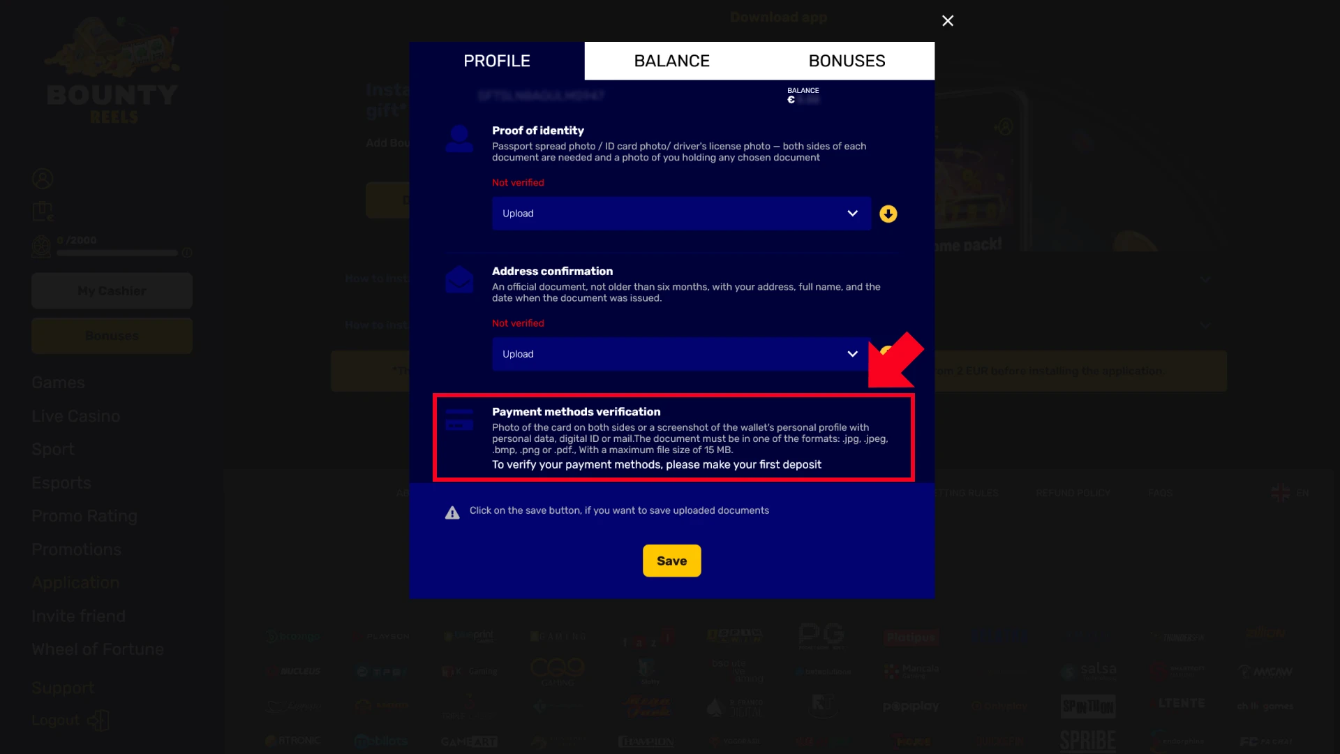 Provide details about your source of funds for Bounty Reels verification.